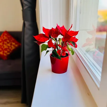 Danube Panorama Budapest